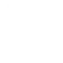 Skating Ring
